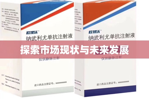 菏泽探索市场现状与未来发展