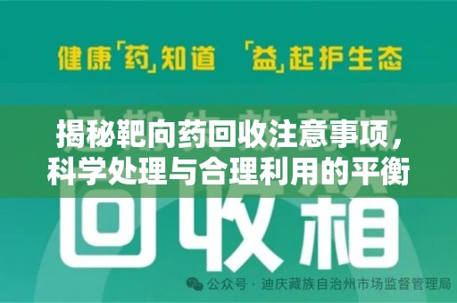 菏泽揭秘靶向药回收注意事项，科学处理与合理利用的平衡之道