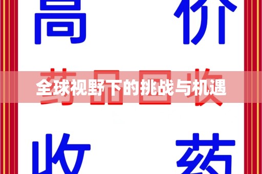 菏泽全球视野下的挑战与机遇