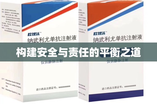 菏泽构建安全与责任的平衡之道