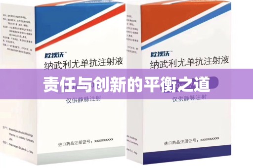 菏泽责任与创新的平衡之道