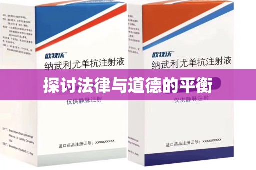 菏泽探讨法律与道德的平衡