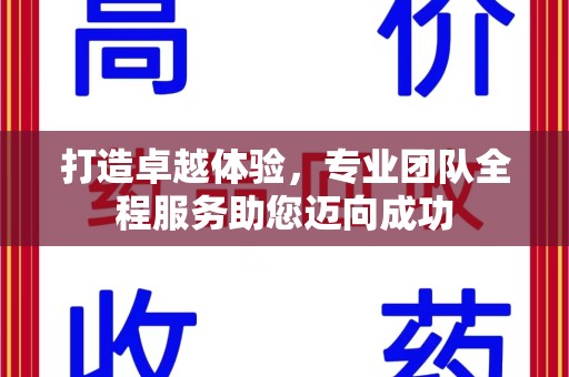 菏泽打造卓越体验，专业团队全程服务助您迈向成功